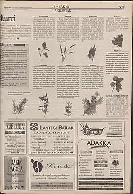 1995ko maiatzak 6, 25. orrialdea